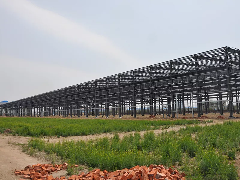 The Advantages of Steel Structure Warehouses: A Modern Solution for Industrial Storage