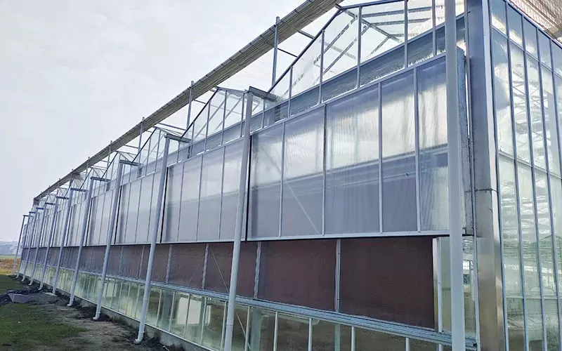 PC Greenhouse: The Durable and Efficient Solution for Modern Agriculture