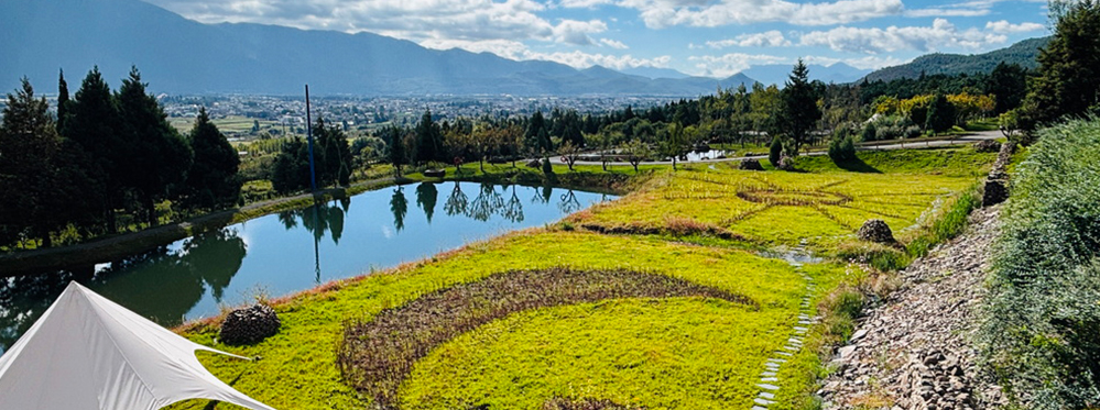 Uncover Hidden Attractions Through Lijiang Cultural Experience