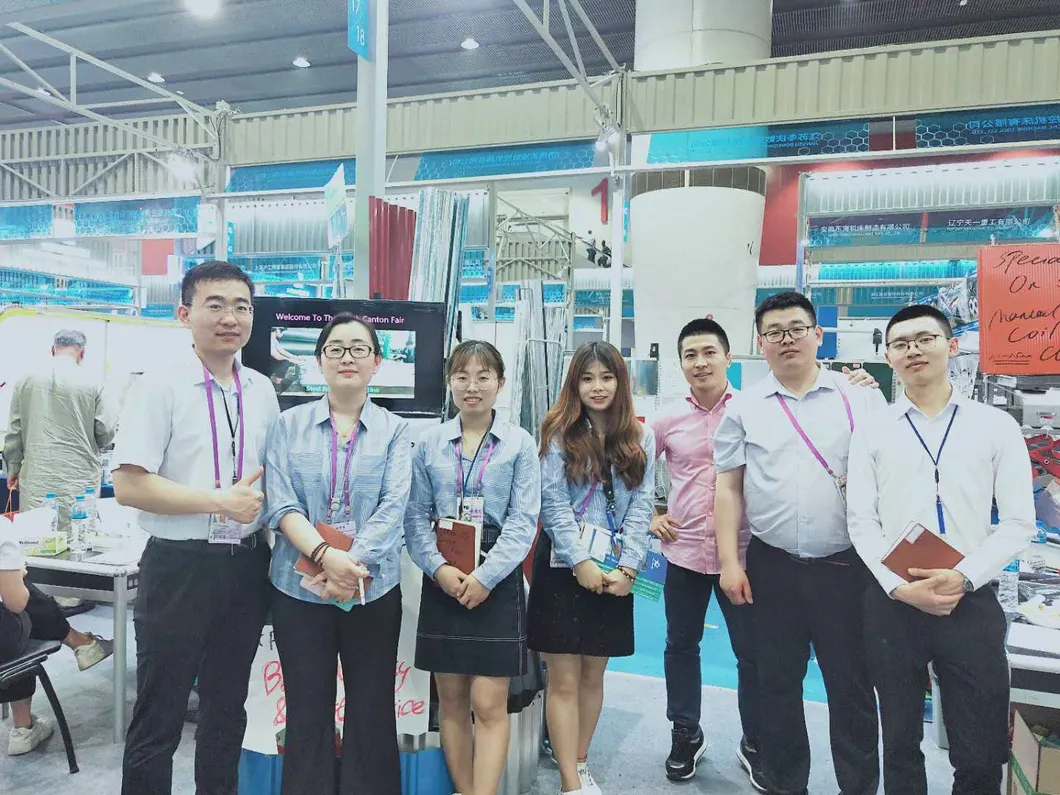 Professional Manufacture of Prepainted Galvanized Steel Coil (GI, PPGI, PPGL Steel)