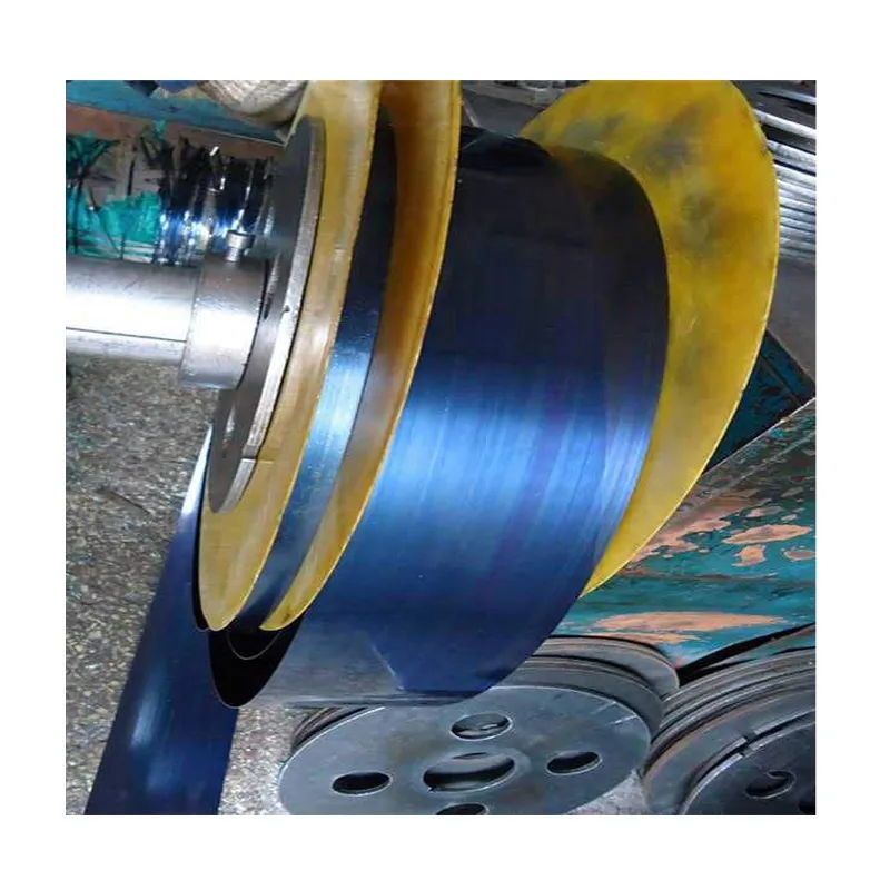 SAE 1070 1075 1095 Ck75 S65c High Carbon Steel Strip